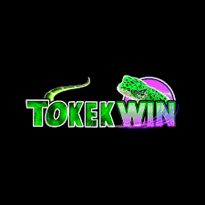 TOKEKWIN - Pertarungan Seru dalam Game TPS